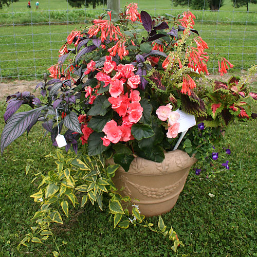 container contest entrant