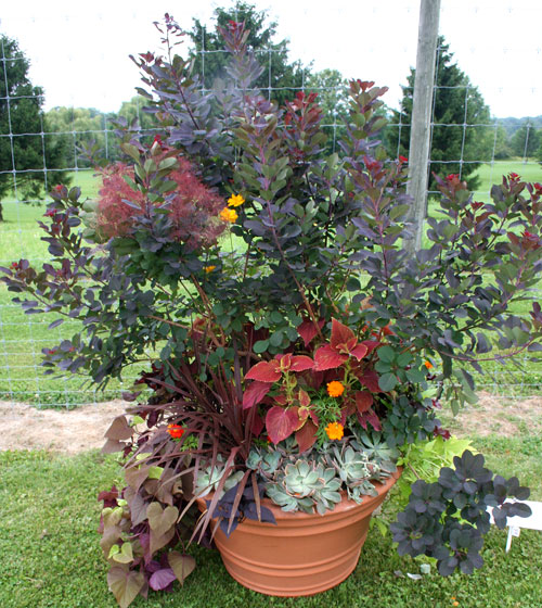 container contest entrant