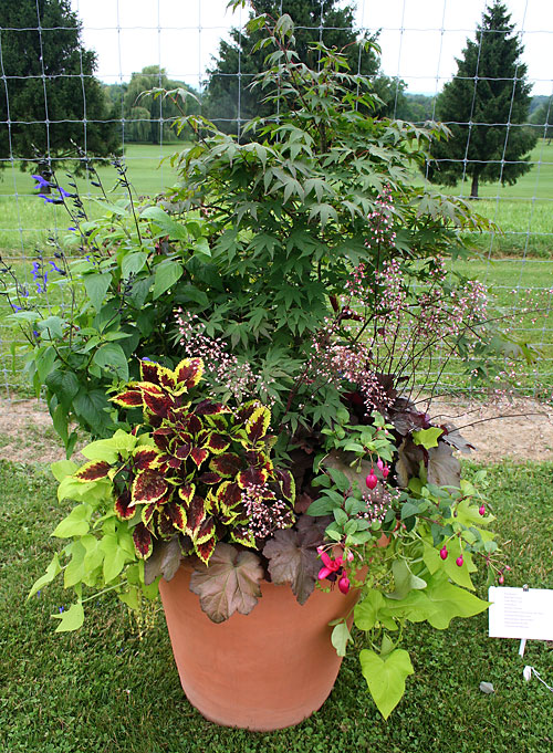 container contest entrant