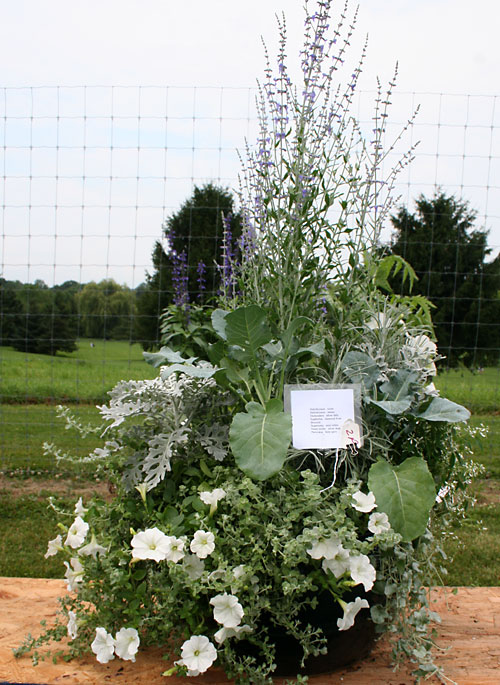 container contest entrant