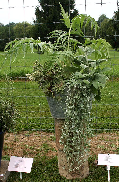 container contest entrant