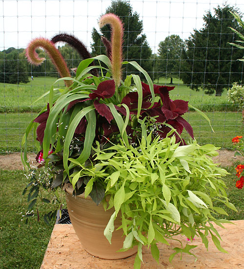 container contest entrant