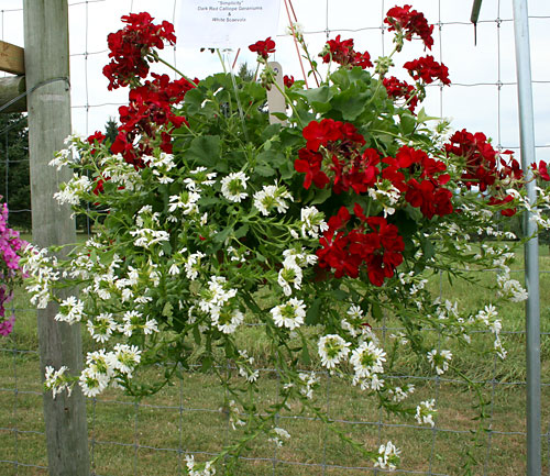 container contest entrant