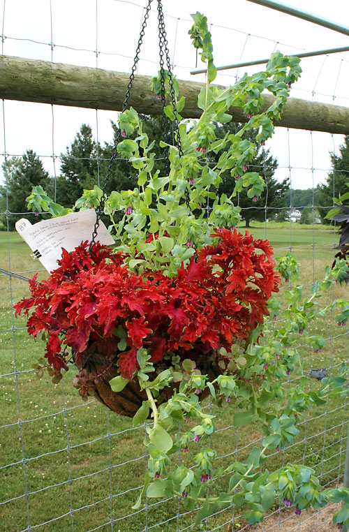 container contest entrant