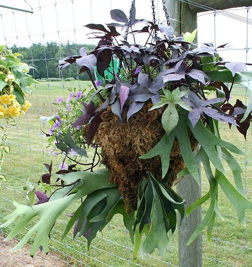 container contest entrant