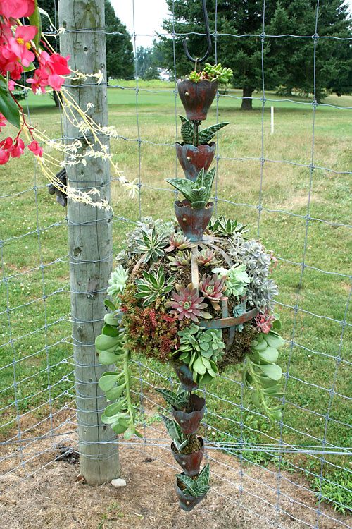 container contest entrant