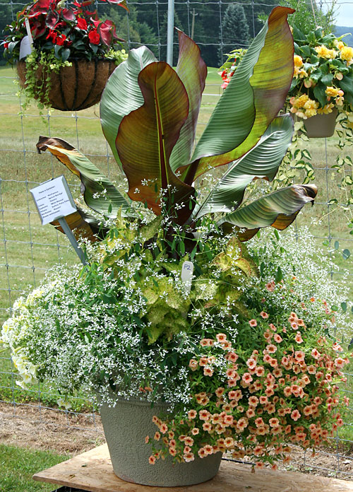 container contest entrant