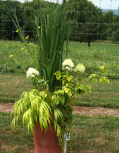 container contest entrant