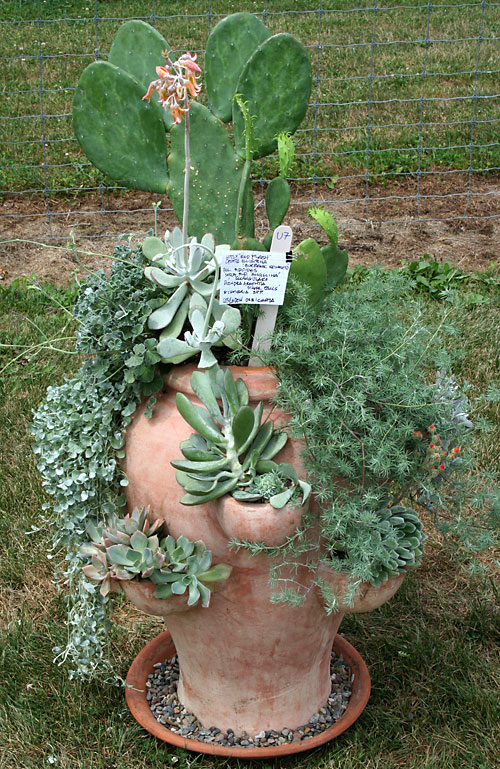 container contest entrant