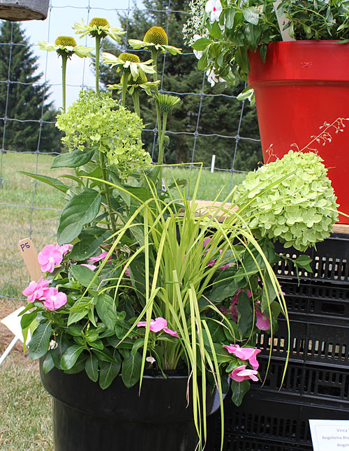 container contest entrant