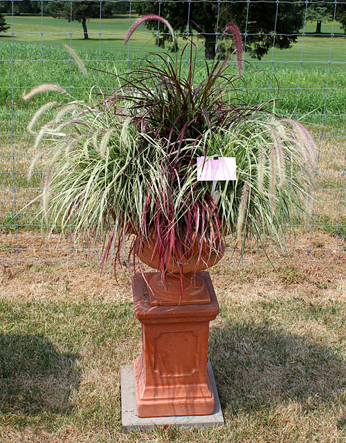 container contest entrant