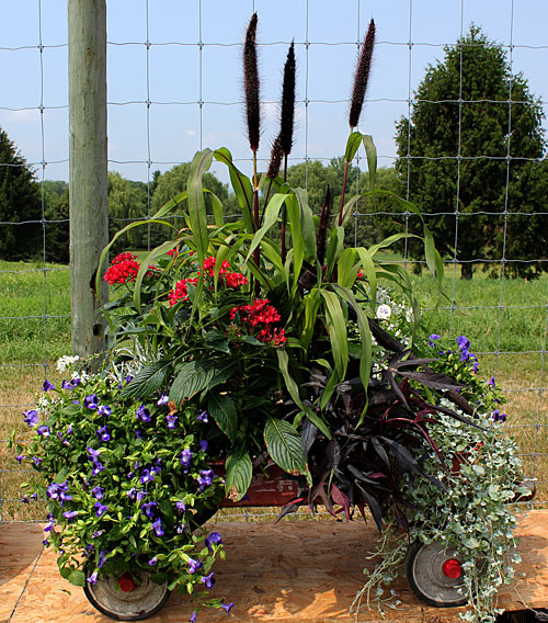 container contest entrant