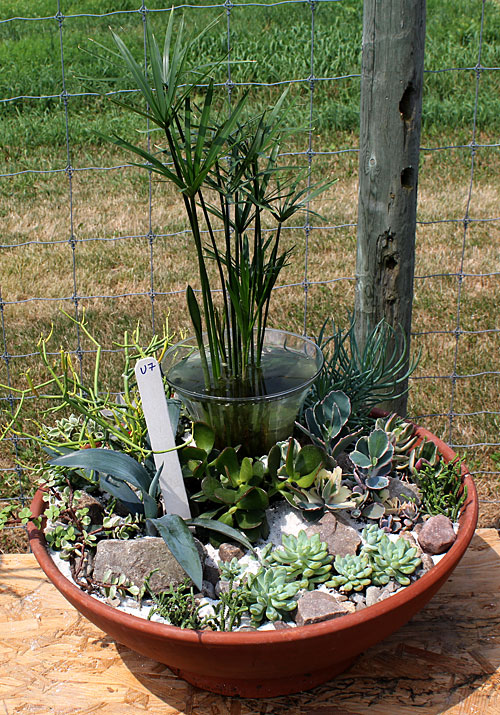 container contest entrant