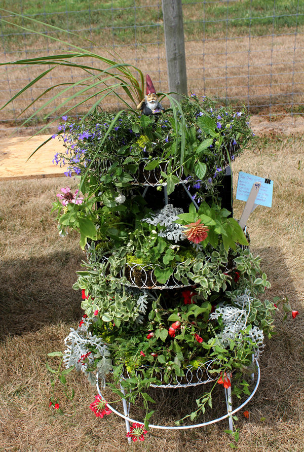 container contest entrant