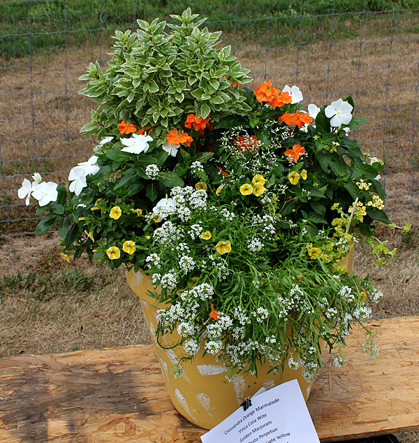 container contest entrant