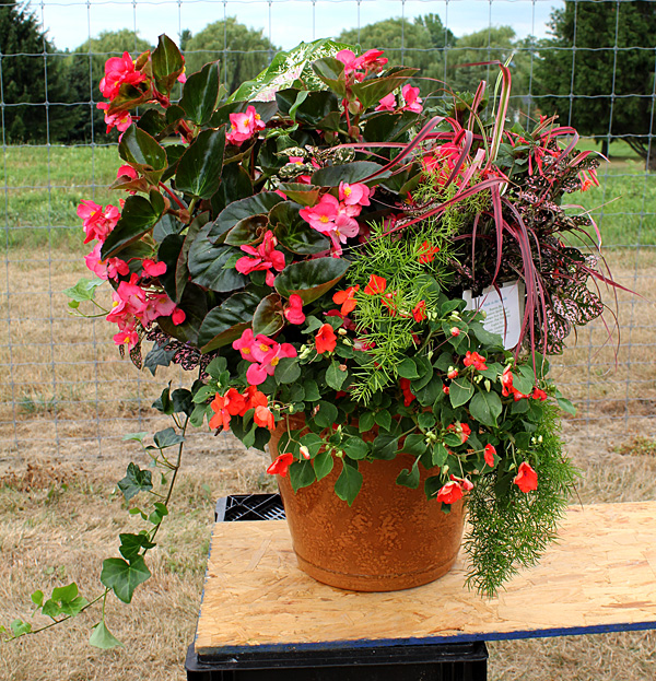 container contest entrant