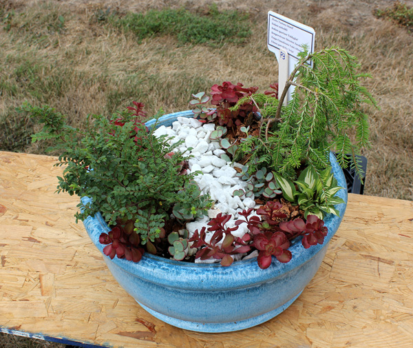 container contest entrant