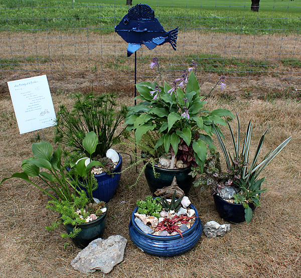 container contest entrant