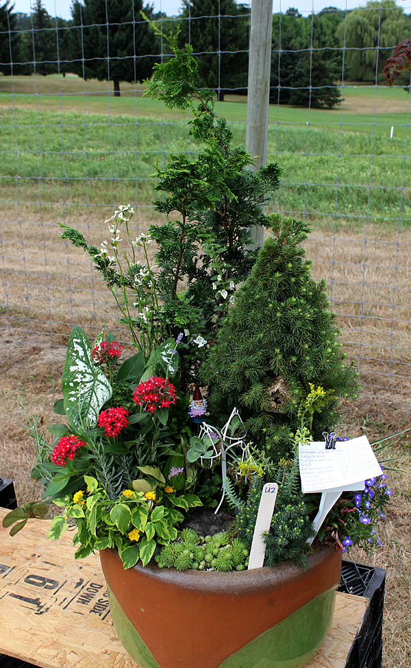 container contest entrant