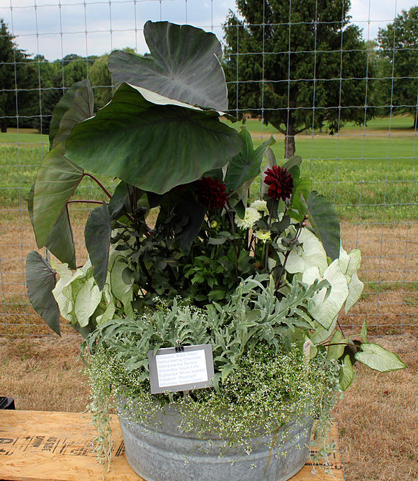 container contest entrant