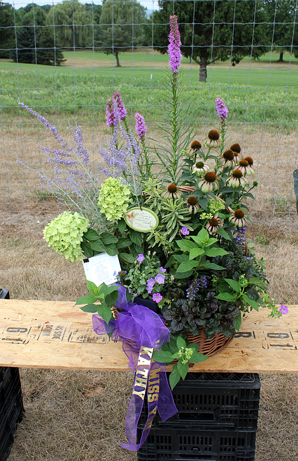 container contest entrant