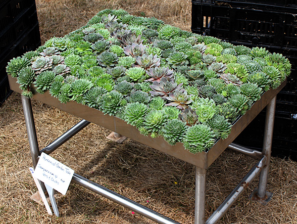 container contest entrant