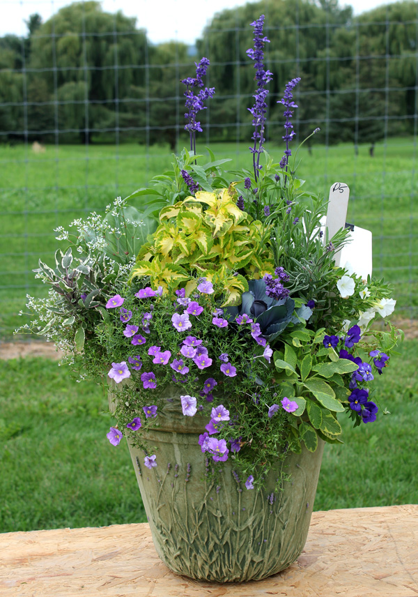 container contest entrant