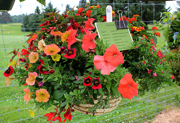 container contest entrant