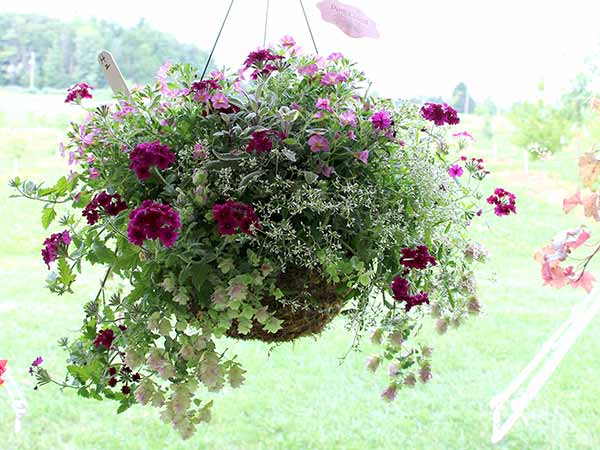 container contest entrant