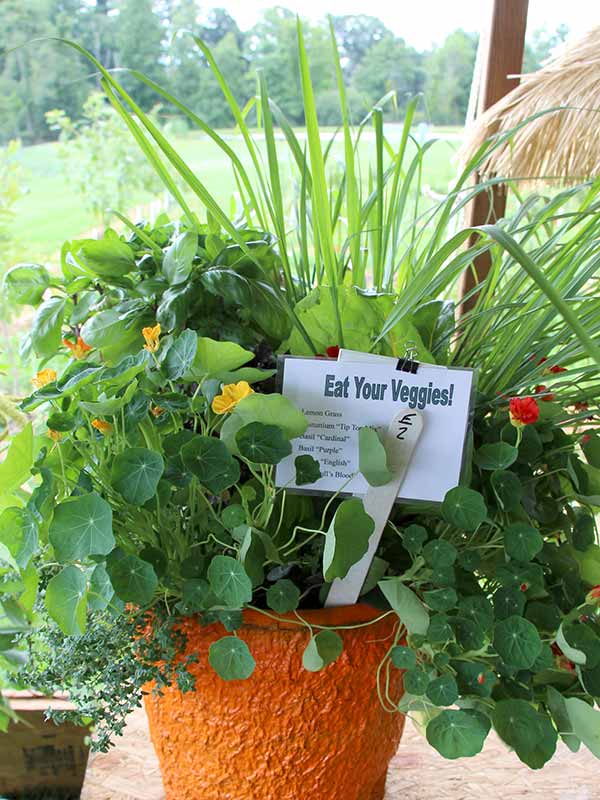 container contest entrant