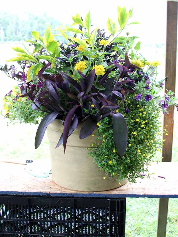 container contest entrant