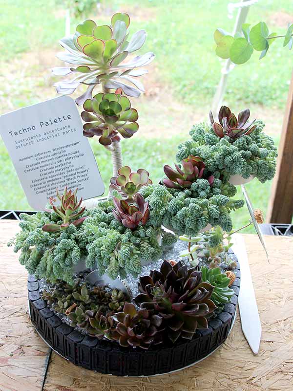 container contest entrant