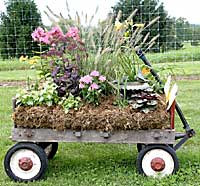 Oligny's Country Gardens	Debbie Oligny	Gansevoort, NY