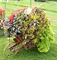 Wallkill View Farm	Peter Ferrante	New Paltz, NY