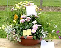 Mischler's Florist	Mark Yadon	Williamsville, NY