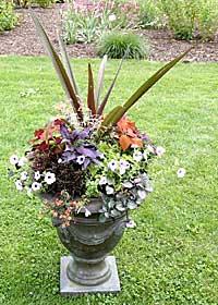 Beds & Borders	Heather Stephenson	Laurel, NY