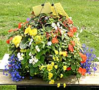 Zema's Nursery	Stephentown, NY