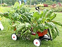 Mark Adams Greenhouse	Sue Adams	Poughkeepsie, NY