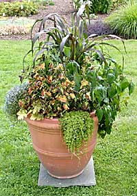 Fernleigh Greenhouse - The Clarke Foundation	Kim Ludemann	Cooperstown, NY