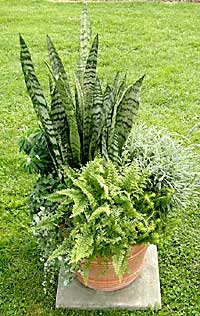Fernleigh Greenhouse - The Clarke Foundation	Kim Ludemann	Cooperstown, NY