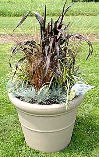 Fernleigh Greenhouse - The Clarke Foundation	Kim Ludemann	Cooperstown, NY