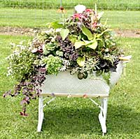 Valleybrook Gardens	Brenda Goodfellow	Niagara on the Lake, ON