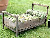 Bakers' Acres,	Reenie Sandsted	Groton, NY