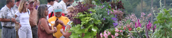 Field day attendees view container contest entries