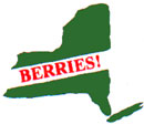 New York State Berry Growers' Association - Click for homepage