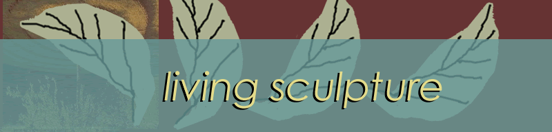 living sculpture banner