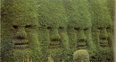 faces in hedge