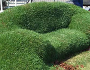 sod sofa