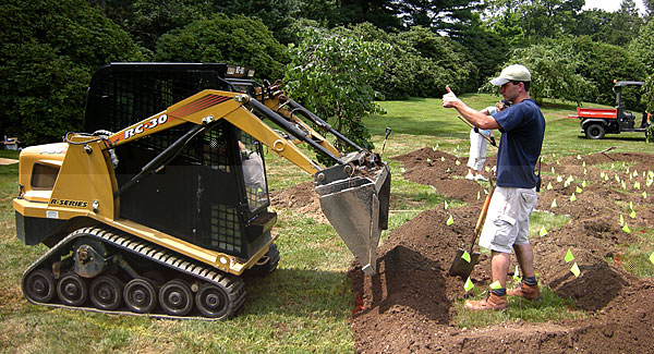 Longwood Gardens living sculpture installation