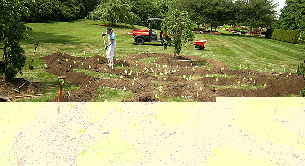 Longwood Gardens living sculpture installation